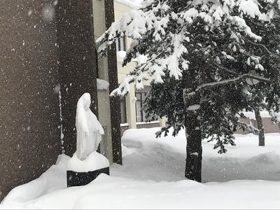 雪の聖母